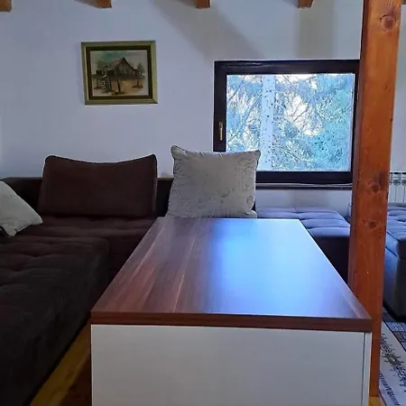 Vikendica Forest Matici