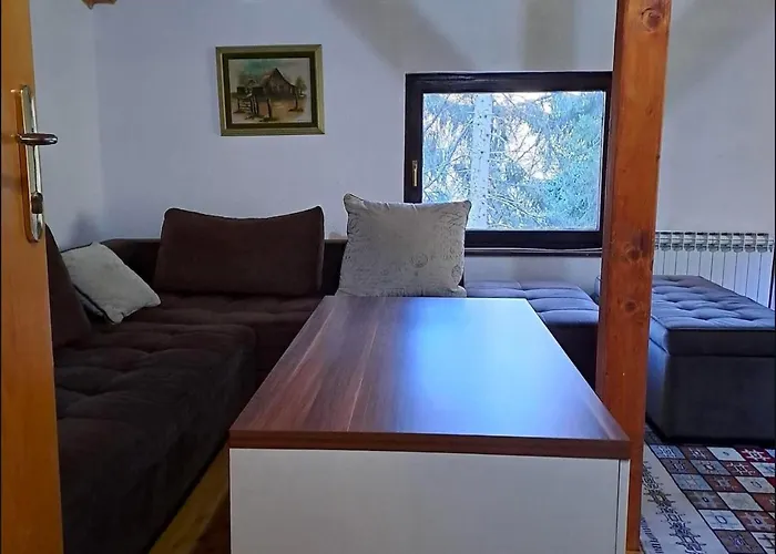 Vikendica Forest Matici